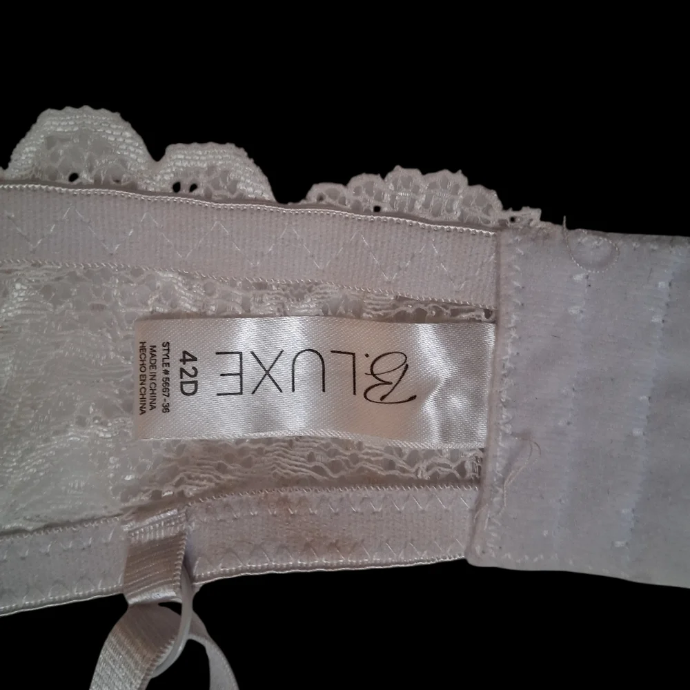 B Luxe Elegant Lace Bra - Ivory white sheer on sides 42D lightly padded